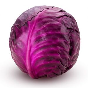Red cabbage isolated on white background. Clipping Path.